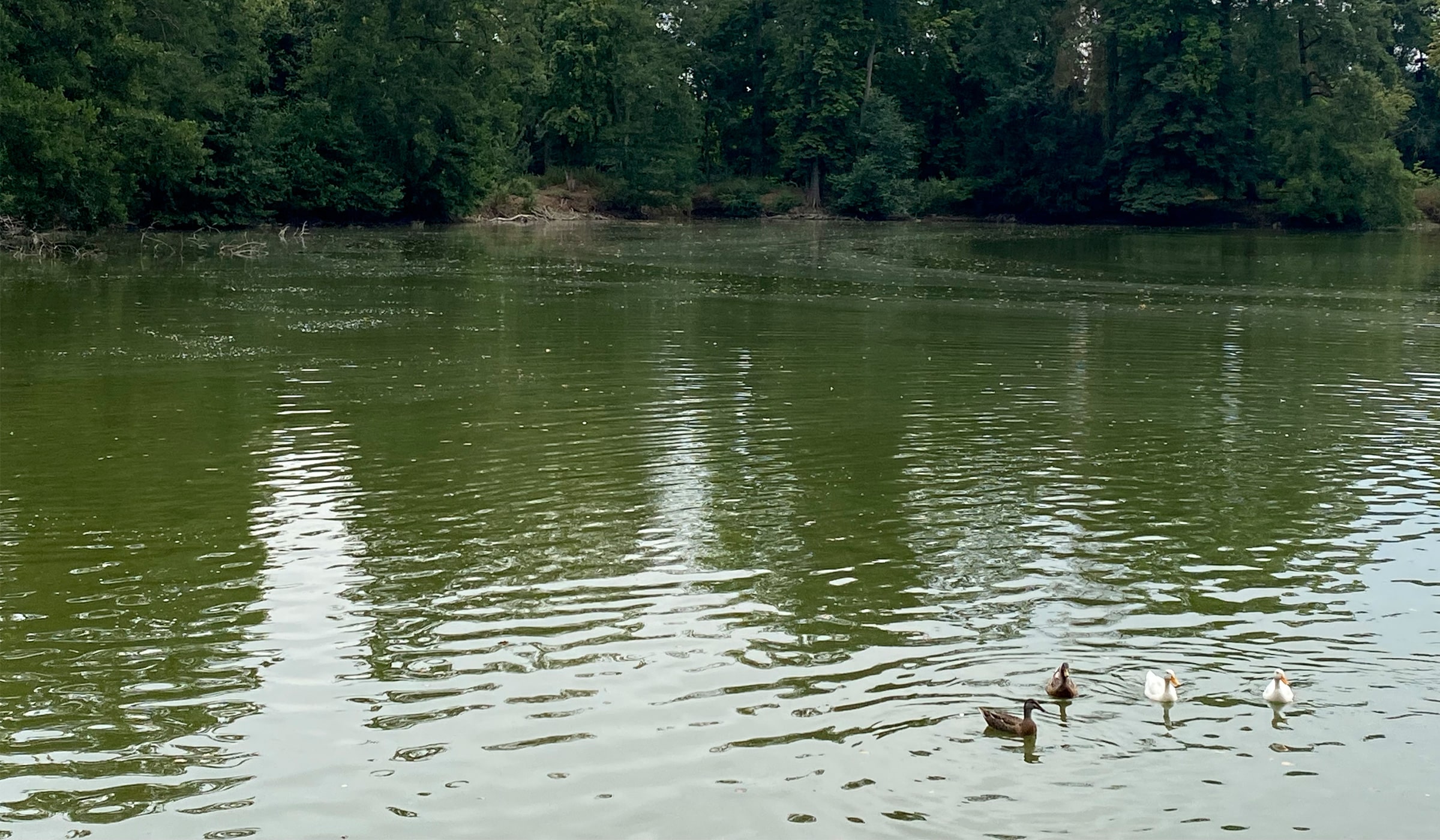 Gite de groupe avec étang de pêche